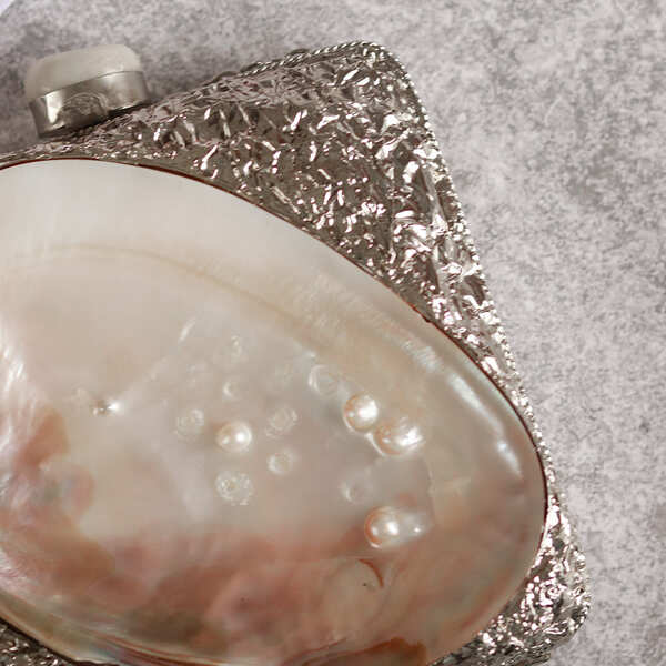 Mumtaz Mother of Pearl Clutch